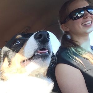 Meet your Posher, Shelby